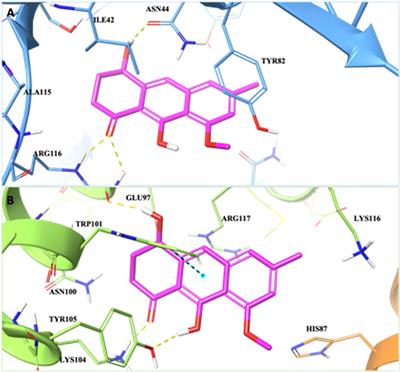 Neurodegeneration: can metabolites from Eremurus persicus help?